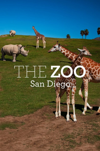 San Diego Zoo (2019)