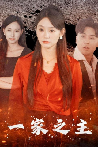 Man with a Plan (2016)