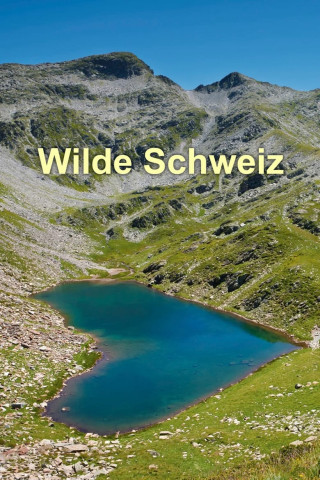 Wilde Schweiz (2022)