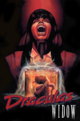 Draculas Witwe (1988)