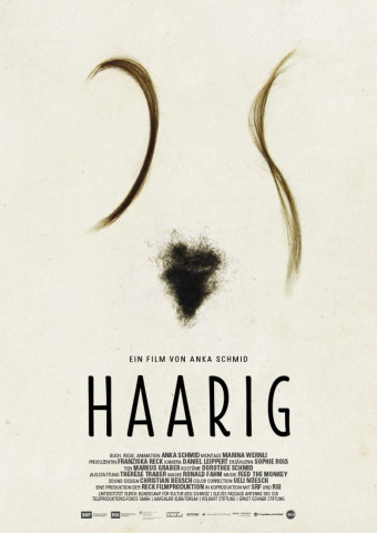 Haarig (2017)