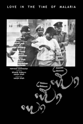 હું હુંશી હુંશીલાલ (1992)
