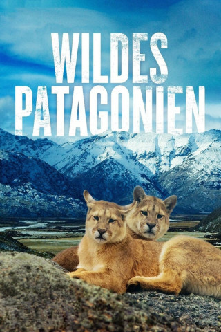 Wildes Patagonien (2015)