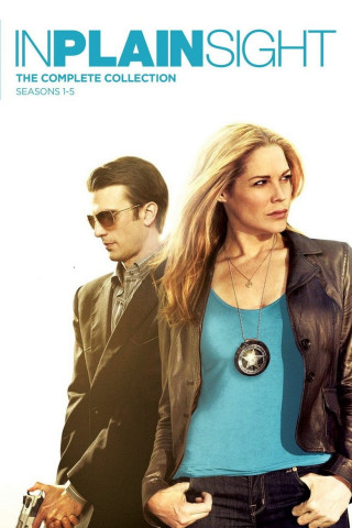 In Plain Sight - In der Schusslinie (2008)