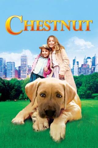 Chestnut: Der Held vom Central Park (2004)