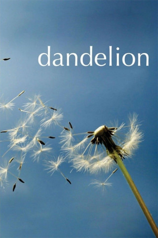 Dandelion - Eine Liebe in Idaho (2004)