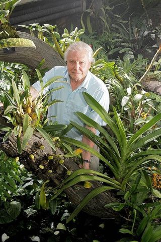 Im Reich Der Pflanzen - mit David Attenborough (2012)