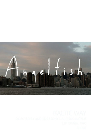 Angelfish (2017)