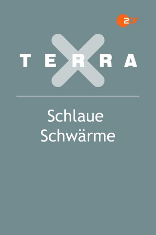 Schlaue Schwärme (2023)
