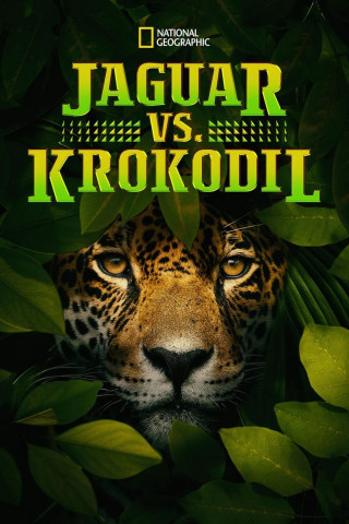 Jaguar vs. Krokodil (2017)