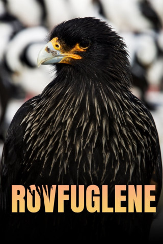 Legenden der Lüfte (2024)