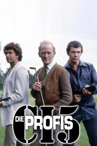 Die Profis (1977)