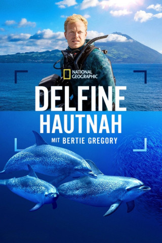 Delfine Hautnah mit Bertie Gregory (2025)