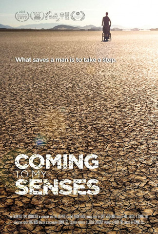 Coming To My Senses (2017)