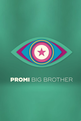 Promi Big Brother (2013)