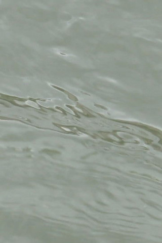 Zwischen den Wellen (2022)