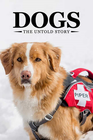 Dogs: The Untold Story (2017)