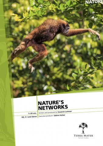 Das Flechtwerk des Lebens (2020)