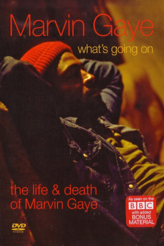 What's going on? - Vom Leben und Tod des Marvin Gaye (2008)
