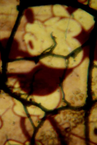 Steamboat Willie (1928)