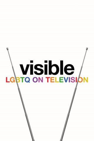 Visible: LGBTQ on Television (2020)