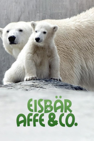 Eisbär, Affe & Co. (2006)