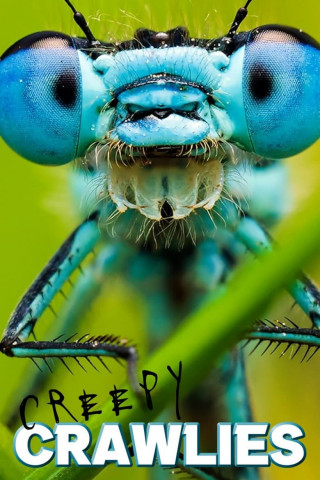 Creepy Crawlies (1987)