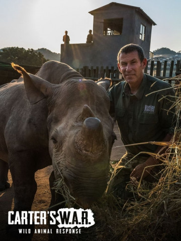 Carter's W.A.R. (2015)