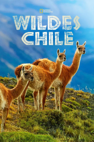Wildes Chile (2018)