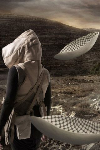 In The Future They Ate From The Finest Porcelain (2015)