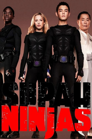 Supah Ninjas (2011)