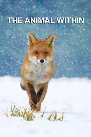 Tierische Superhelden (2020)