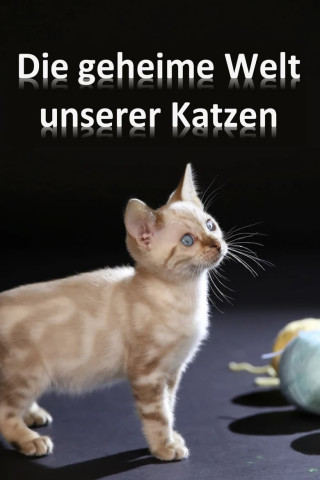 Die geheime Welt unserer Katzen (2016)