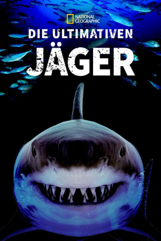 Haie - Die ultimativen Jäger (2019)
