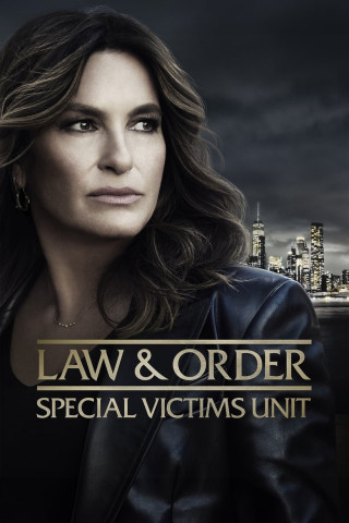 Law & Order: New York (1999)