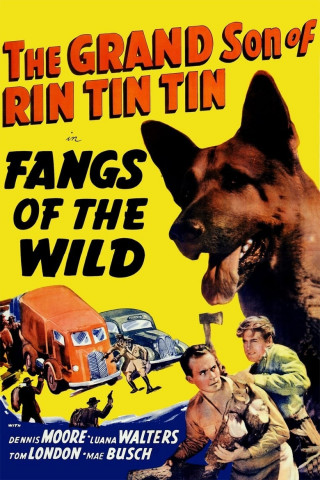 Rin Tin Tin (1939)