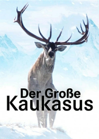 Der Große Kaukasus (2008)