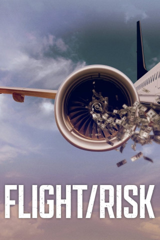 Flug/Risiko (2022)