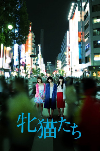 Dawn of the Felines (2017)