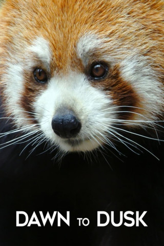 Von Sonnenaufgang bis Sonnenuntergang (2021)