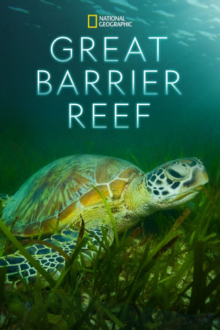 Das Great Barrier Reef (2012)