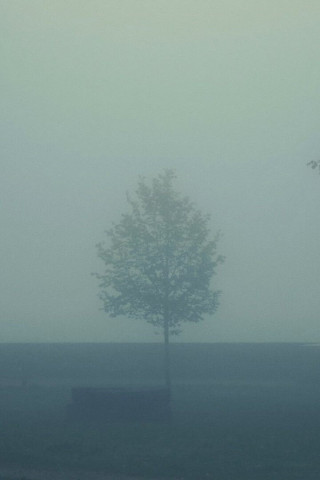 Great are the Eyes of a dead Father (2023)