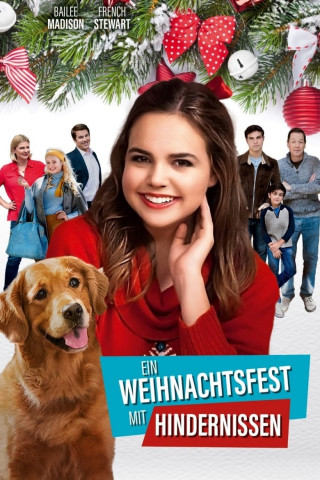 Ein Weihnachtsfest mit Hindernissen (2016)