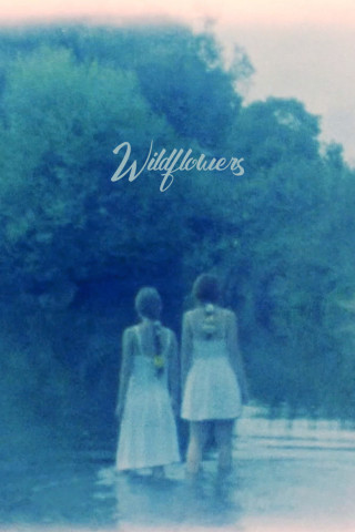 Wilde Sehnsucht (1991)