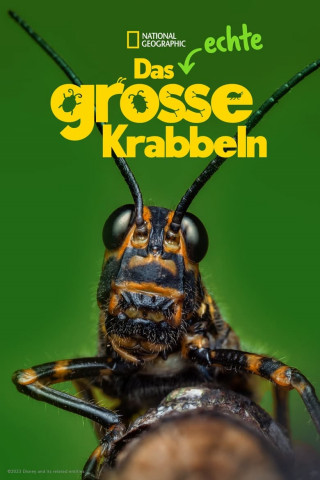 Das echte große Krabbeln (2024)