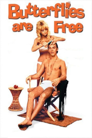 Schmetterlinge sind frei (1972)
