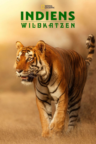 Die Wildkatzen Indiens (2020)