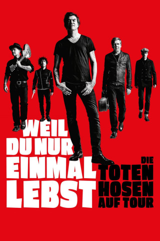 Weil du nur einmal lebst - Die Toten Hosen auf Tour (2019)