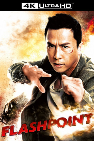 Flash Point (2007)