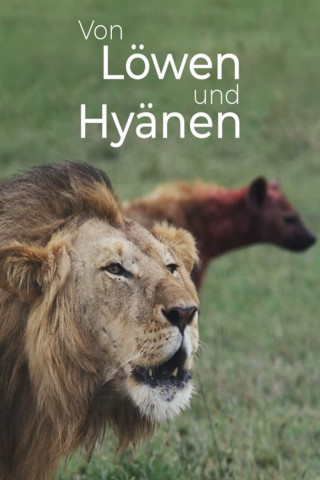 Von Löwen und Hyänen (2019)